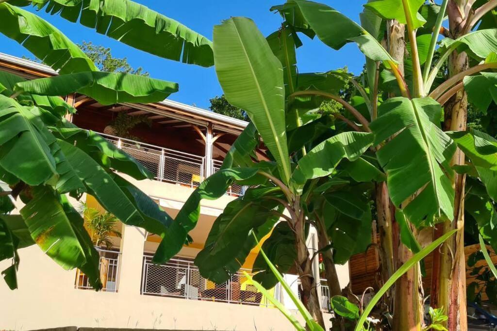 Bas De Villa Piscine Petit Versailles Sainte Anne Buitenkant foto